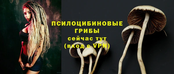 крисы Нягань