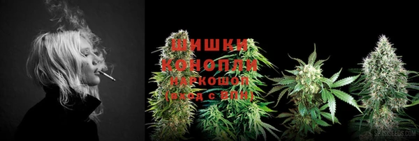 крисы Нягань