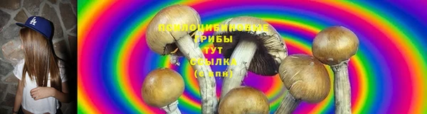 крисы Нягань