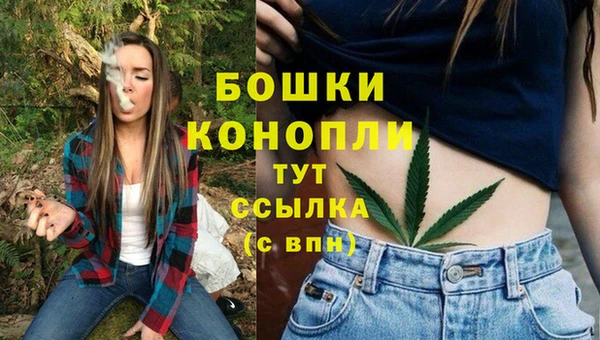 крисы Нягань