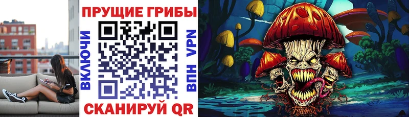 Псилоцибиновые грибы GOLDEN TEACHER  ОМГ ОМГ как войти  Альметьевск 