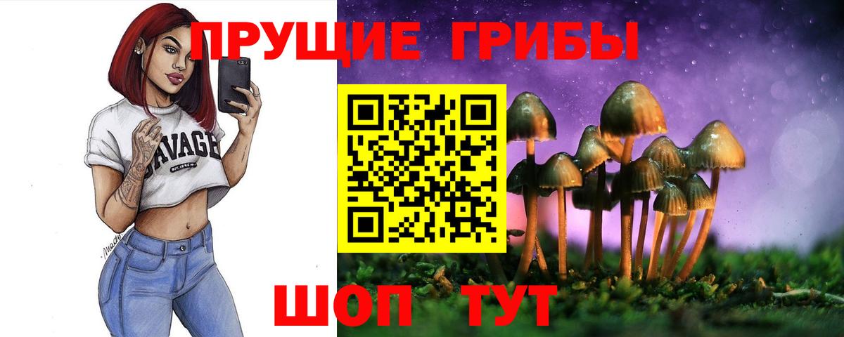 Галлюциногенные грибы Psilocybine cubensis Альметьевск