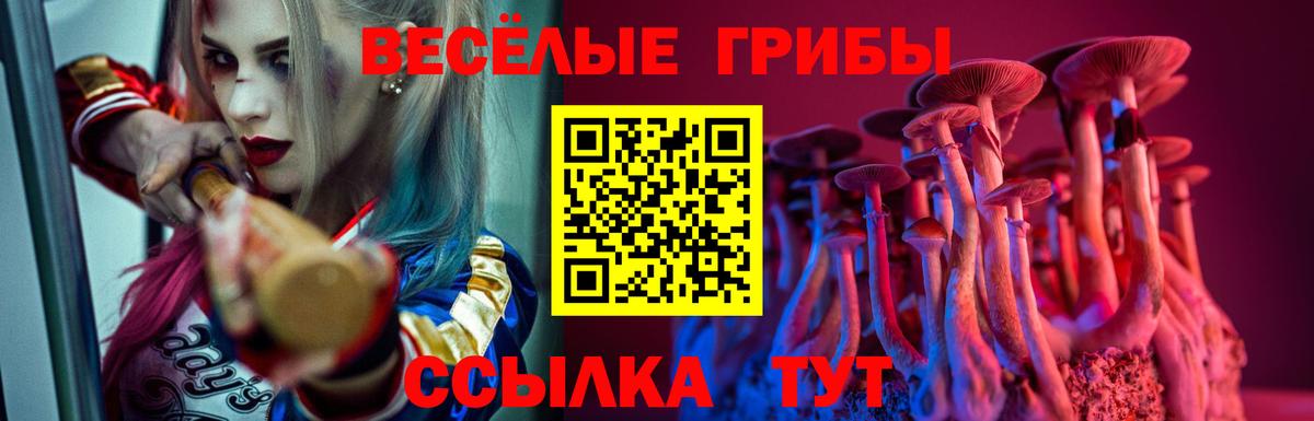 Альметьевск  Галлюциногенные грибы прущие грибы  наркота  Вход с VPN 